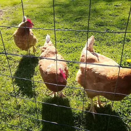 Hébergement de vacances La Margance - Between Etretat&honfleur