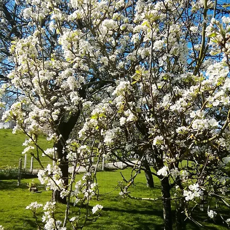 La Margance - Between Etretat&honfleur Saint-Aubin-Routot