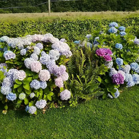 La Margance - Between Etretat&honfleur *