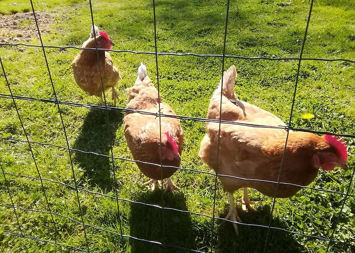 Nyaraló La Margance - Between Etretat And Honfleur