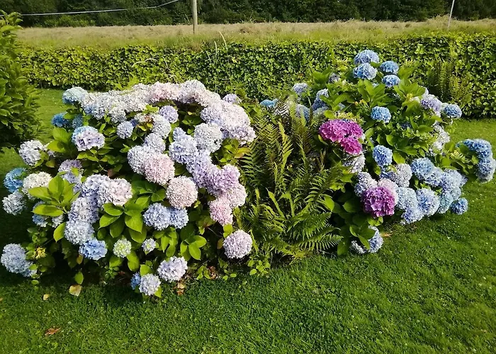 La Margance - Between Etretat And Honfleur *